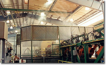 Twin Bandsaw Trimmer