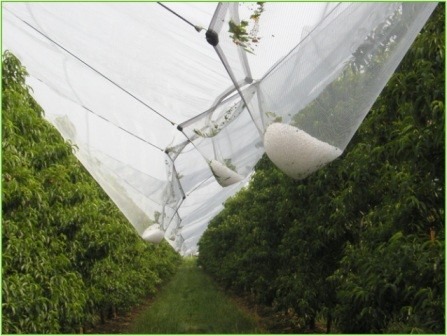 Mallas anti-granizo.