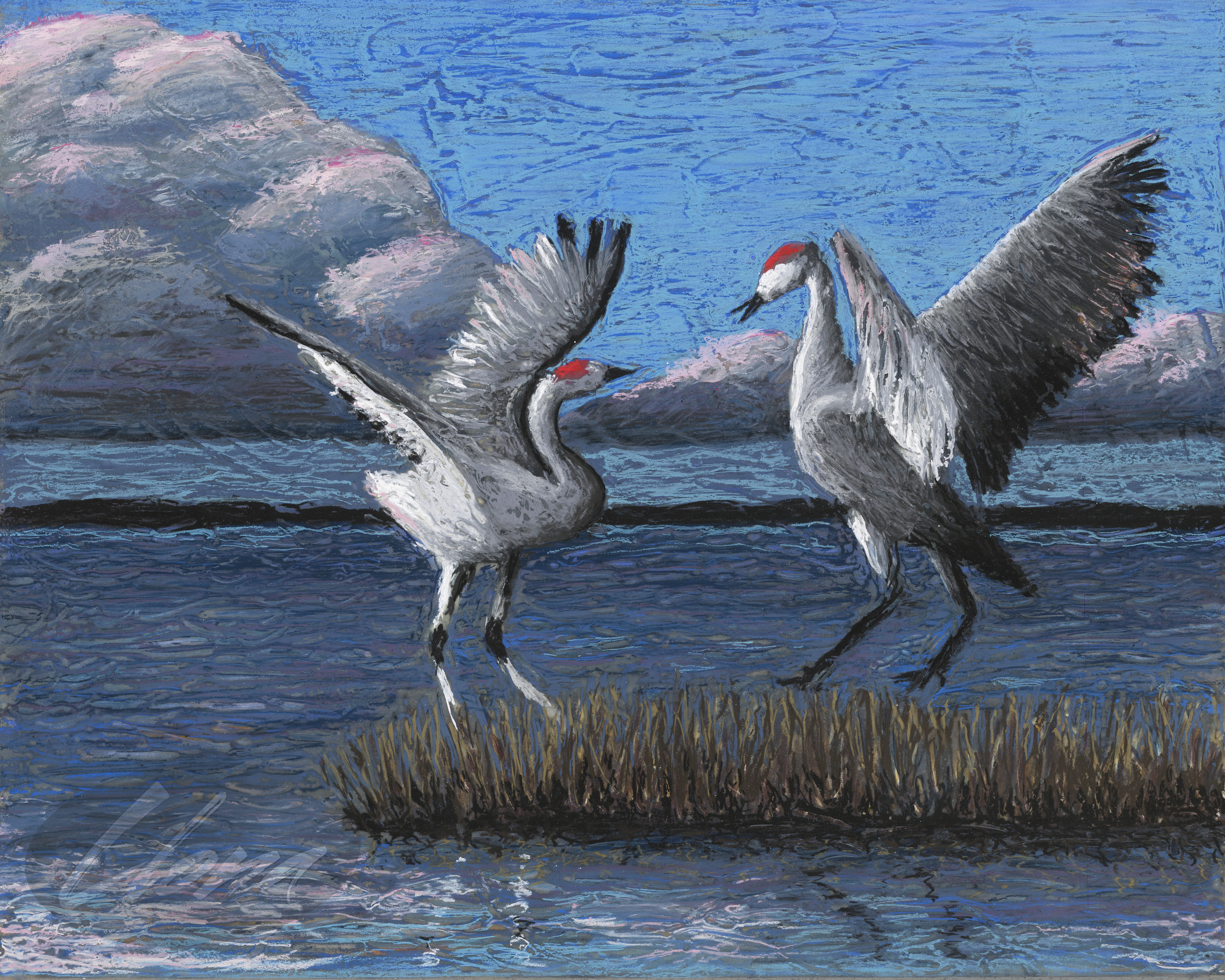 Sandhill Crane Dance