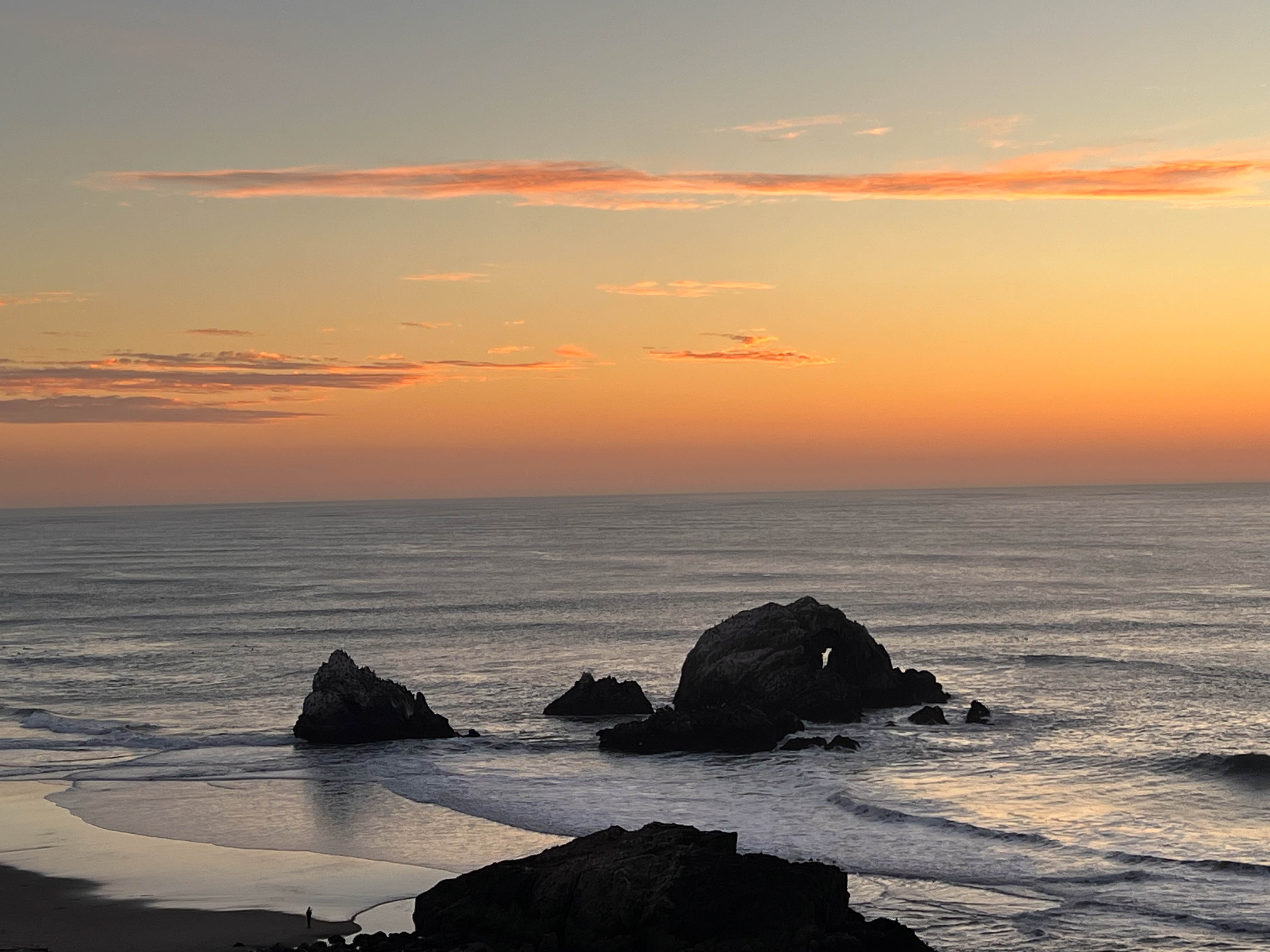 https://0201.nccdn.net/1_2/000/000/0ab/e1e/san-fran-order-2-63.jpg
