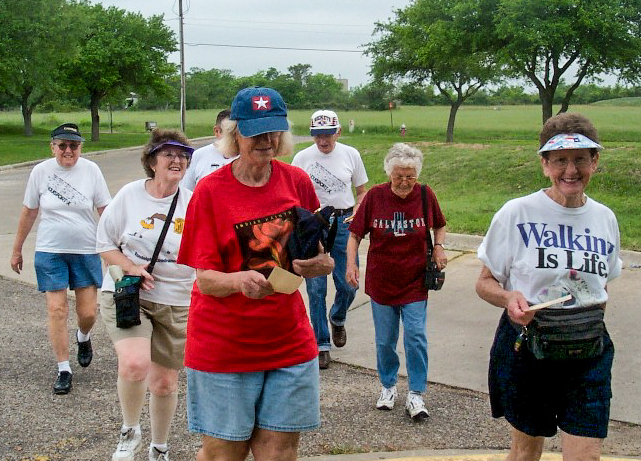 Group of runners participating in an outdoor marathon on a sunny day, wearing athletic attire and race bibs, with trees lining the street in the background. Group of runners participating in an outdoor marathon on a sunny day, wearing athletic attire and race bibs, with trees lining the street in the background.