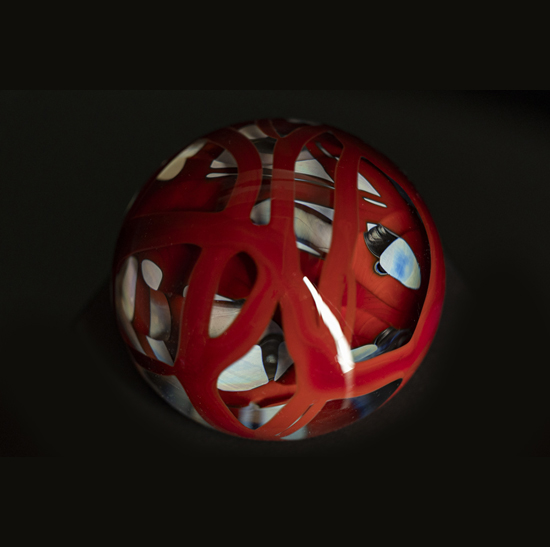 Inspired to show the harmful algal blooms which affect marine life.