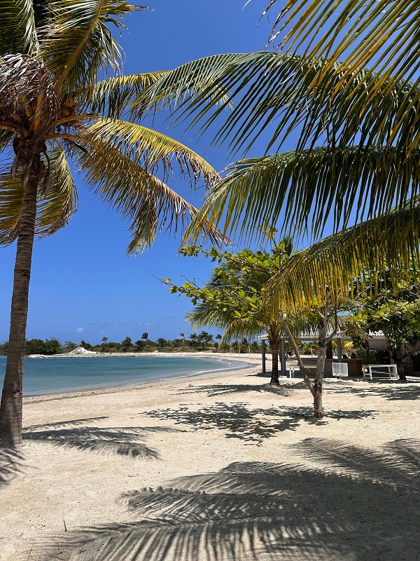 Beautiful Beach