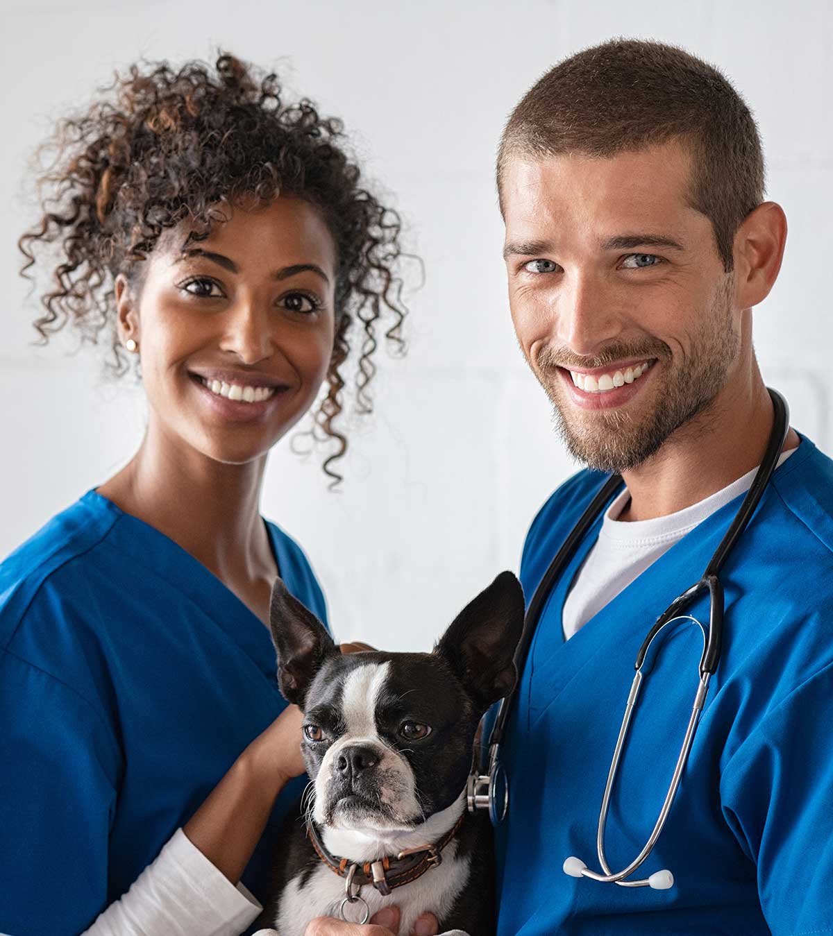 Vet And Nurse Holding Cute Dog