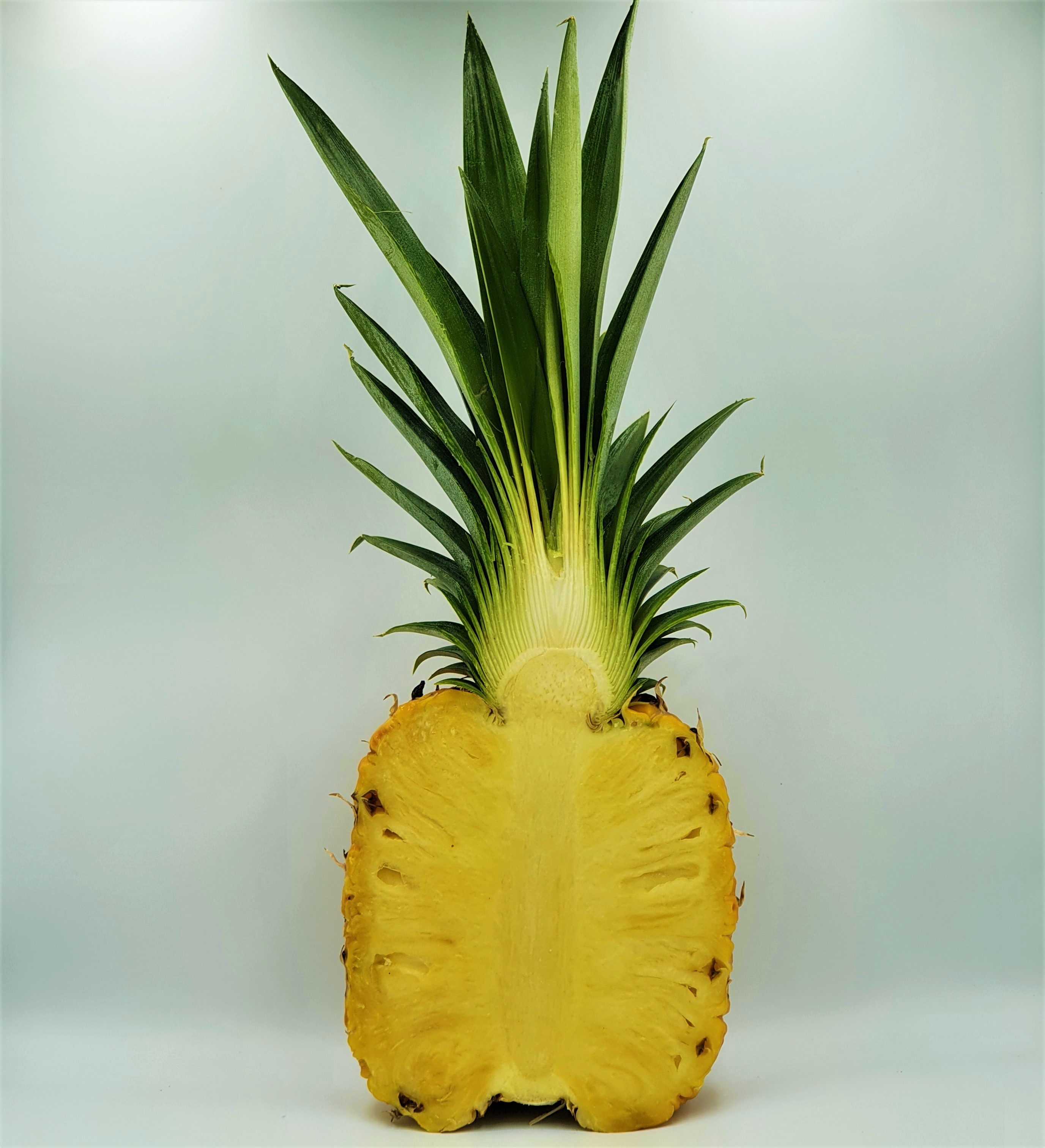 https://0201.nccdn.net/1_2/000/000/0ac/af7/pineapple.jpg