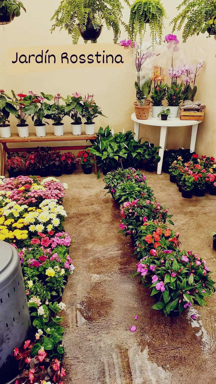 (##AI##(Background.image4.alt)##AI##)