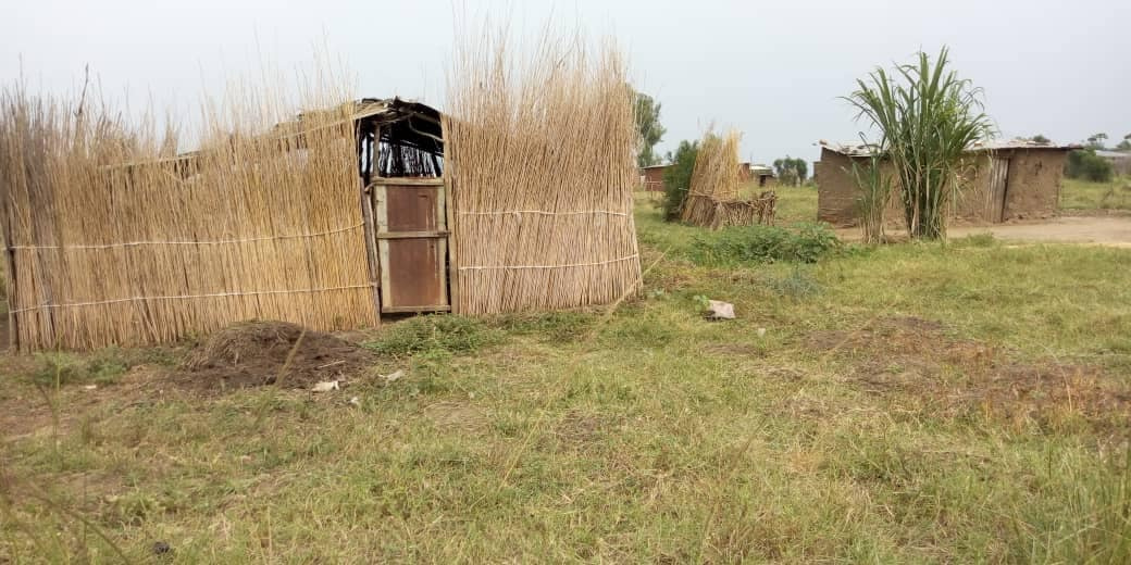https://0201.nccdn.net/1_2/000/000/0ac/d01/AFRICA-5-1040x520.jpg