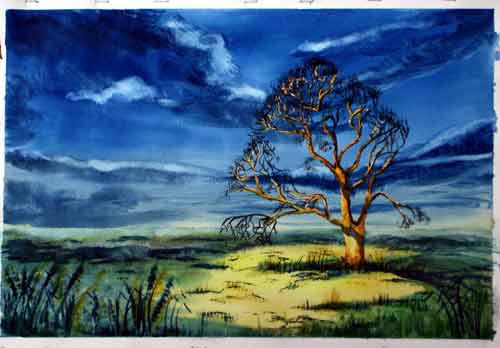 Evening Sunlit Tree ... Watercolour
