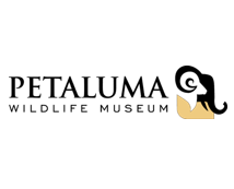 Petaluma Wildlife Museum