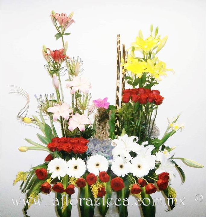 LFA-810
Precio $2680