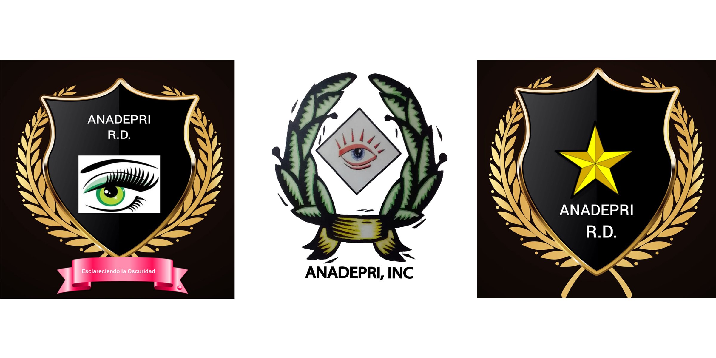 Ir a la página de inicio del sitio DETECTIVES PRIVADOS DOMINICANOS