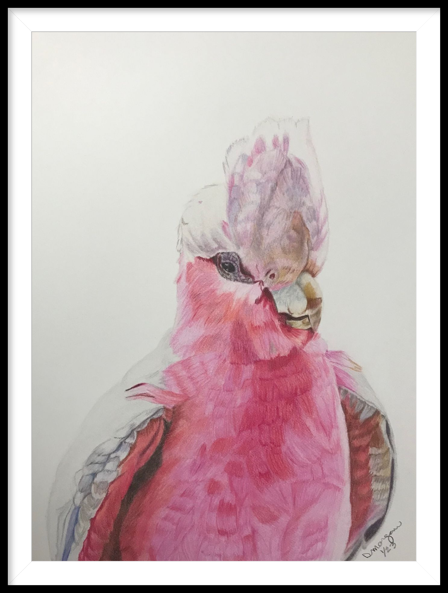 Master of the Bouffant