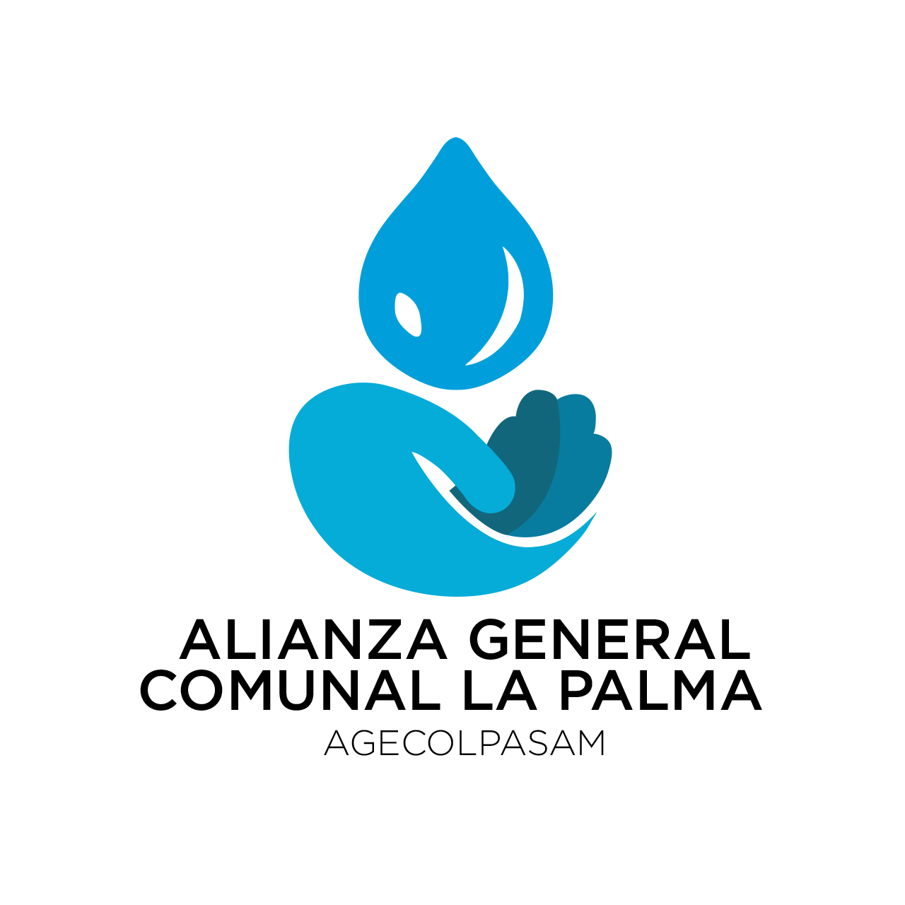 Alianza General Comunal La Palma San Martín