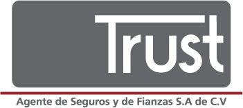 trustmx.com.mx