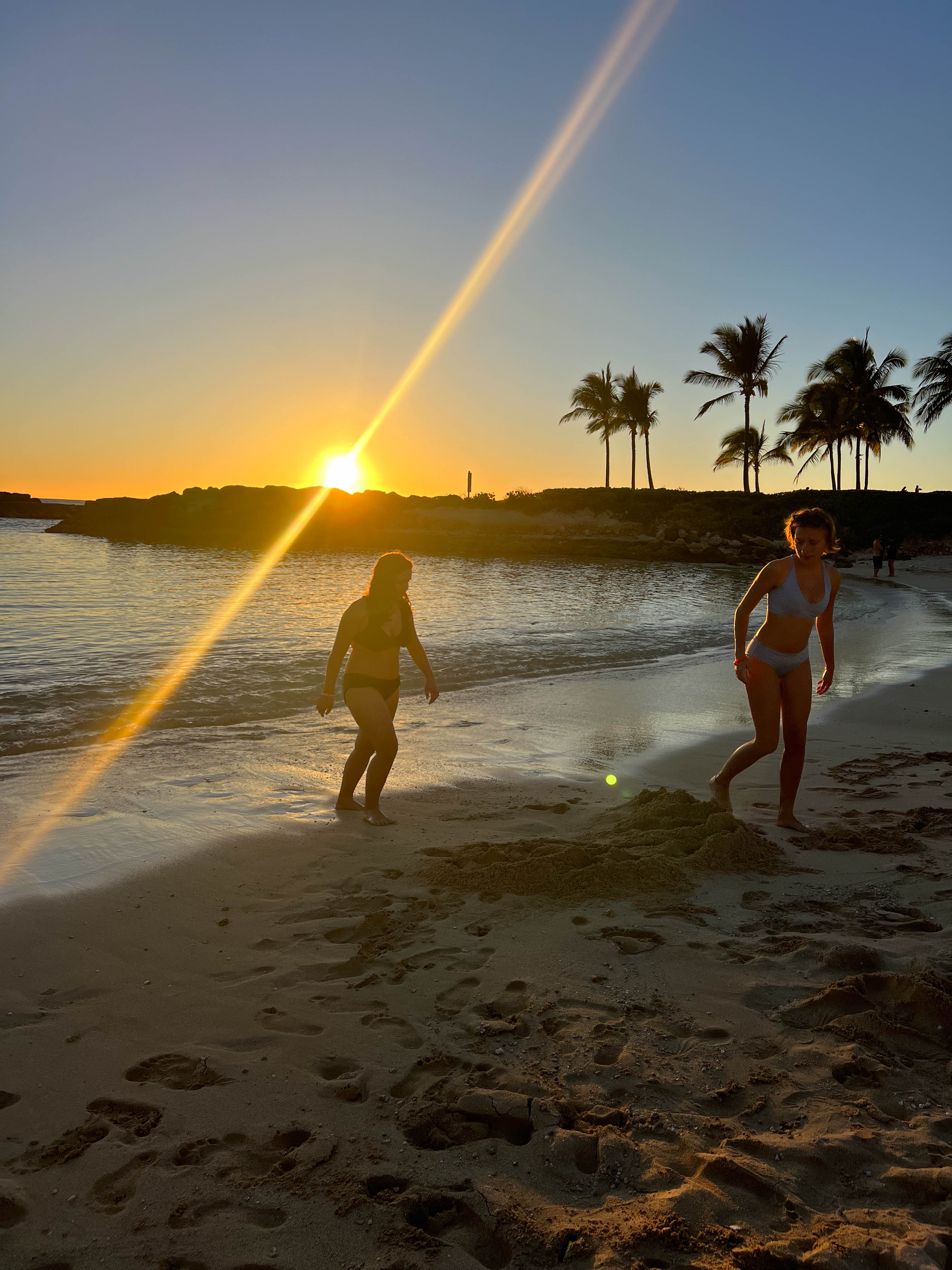 https://0201.nccdn.net/1_2/000/000/0ad/d11/hawaii-order-25.jpg