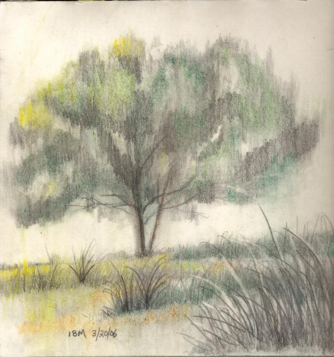 tree-3-20-06