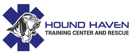 Hound Haven Training Center And Rescue