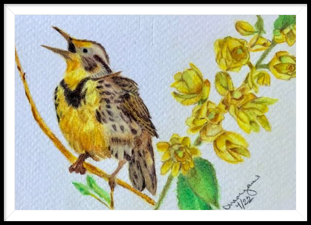 Oregon State Bird & Flower
Meadowlark & Oregon Grape
4 x 6
Cold Press Watercolor & OMS