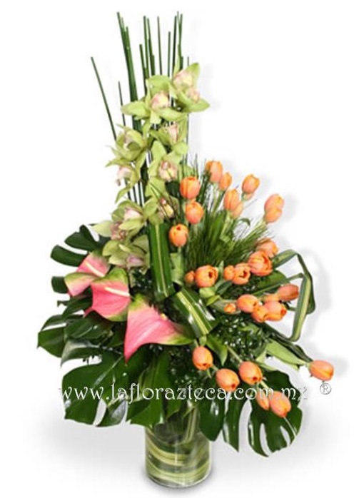 LFA-OT007
Precio $2,280