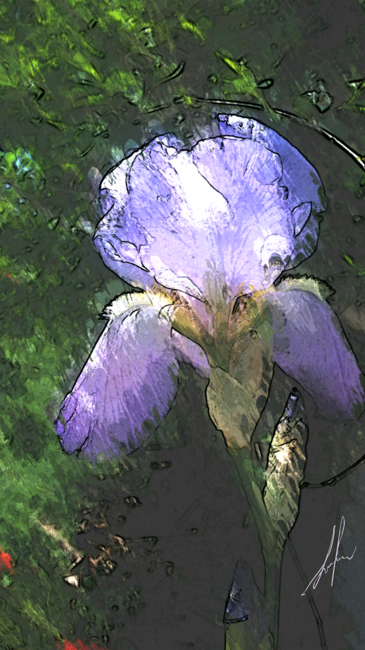 Oh Mighty Iris