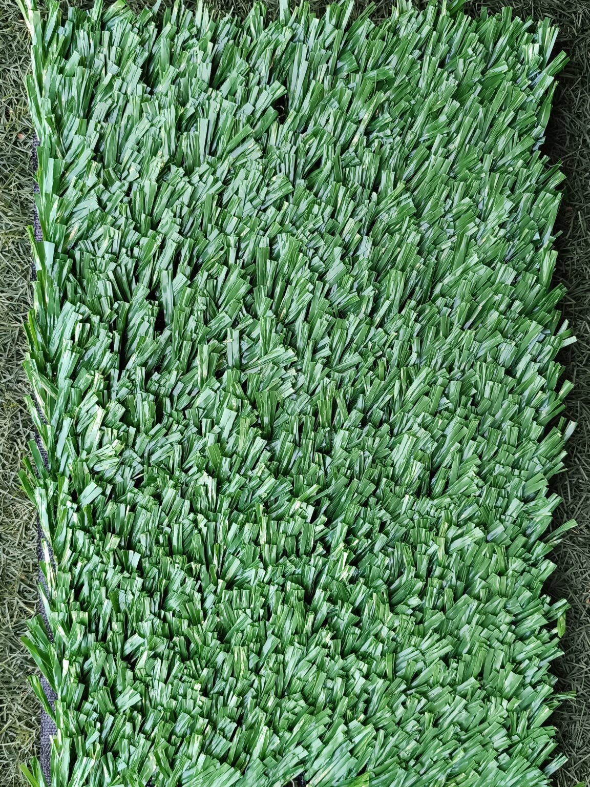 DEPORTIVO VERDE
TGS-X11-40