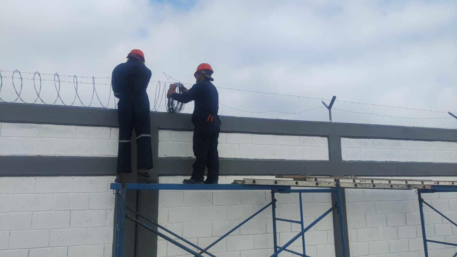 Concertina