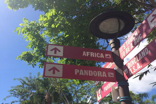 Universal Magic Travel -  VARIEDAD DE PAQUETES