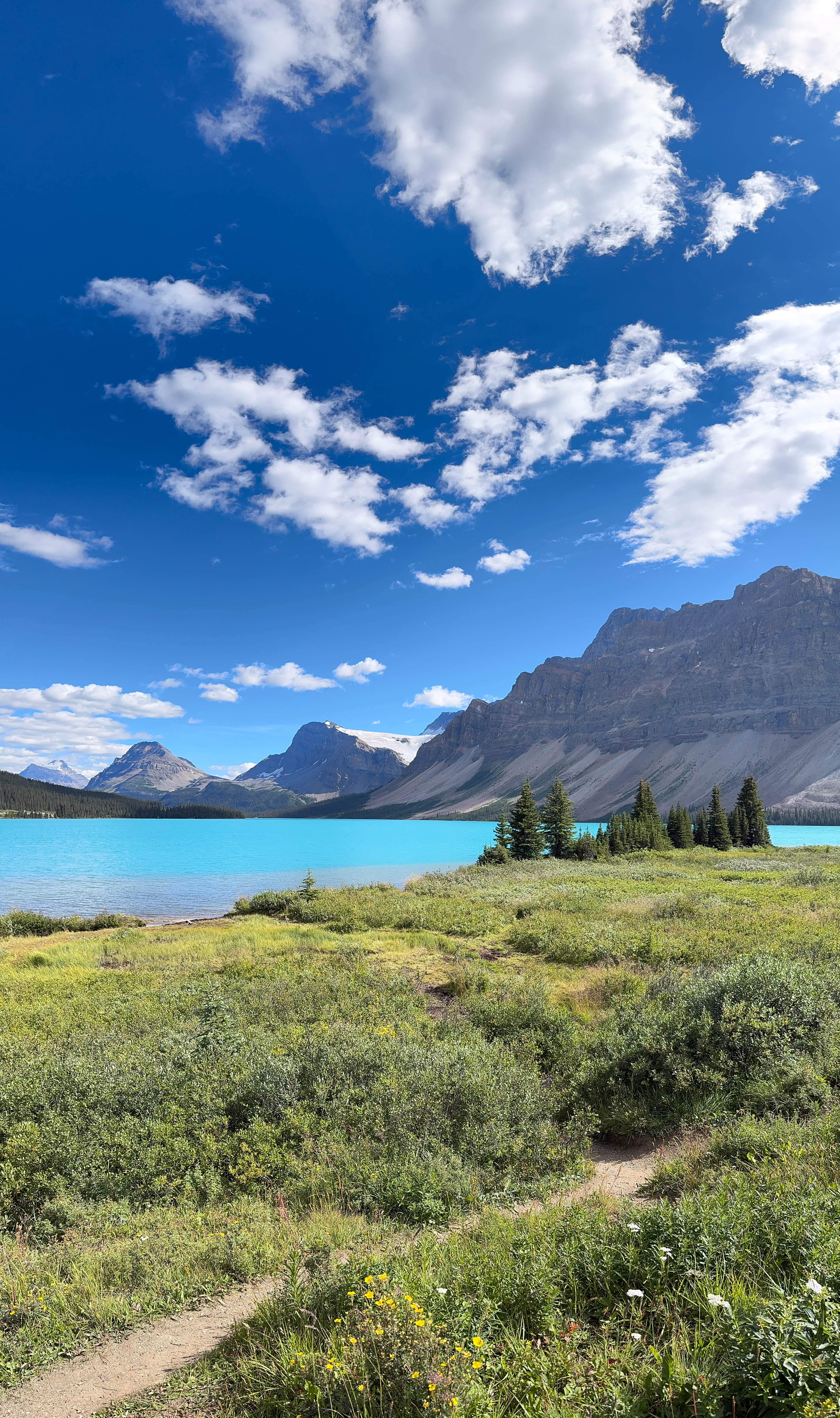 https://0201.nccdn.net/1_2/000/000/0af/689/calgary-order-217.jpg