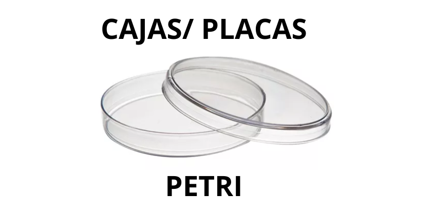 https://0201.nccdn.net/1_2/000/000/0af/a57/cloruro-de-sodio-8.png