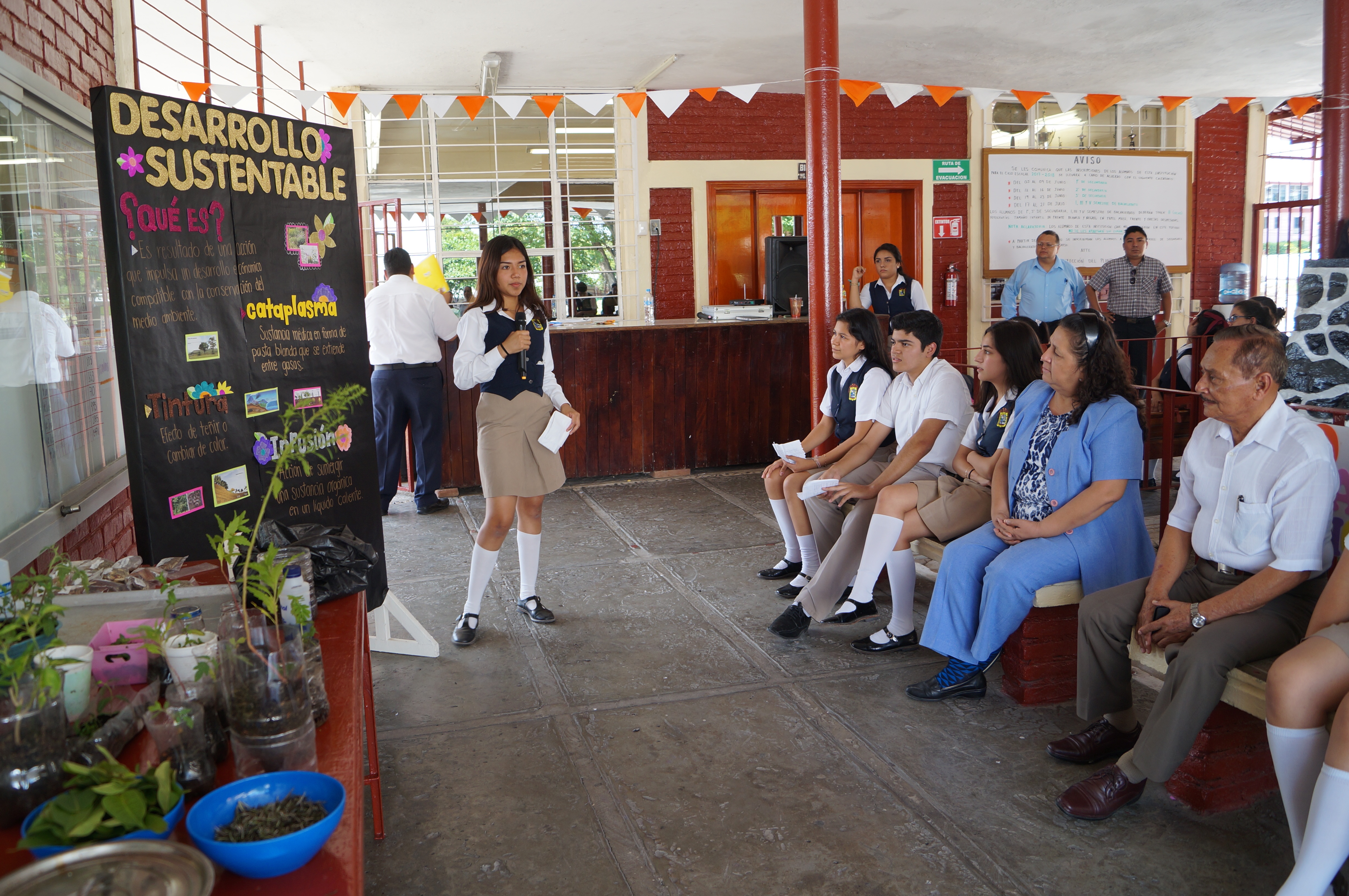 DESARROLLO SUSTENTABLE
21 DE JUNIO 2017