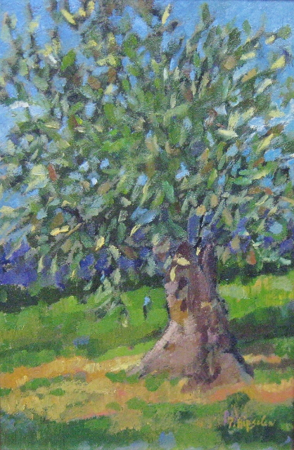 Hipschen, Olive Tree, Luberon, 9" x 6" Oil
