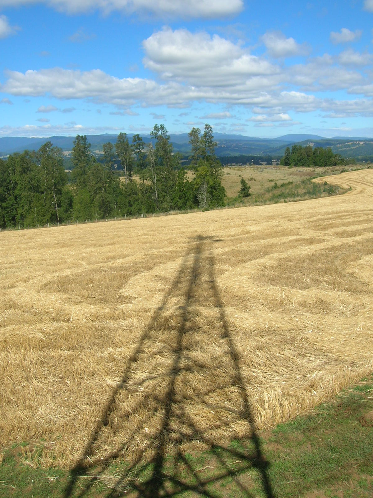 Torre en Campo de Trigo