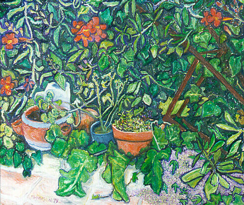 Op-040 TRUMPET VINE 30 in x 36 in Oil on Linen private collection