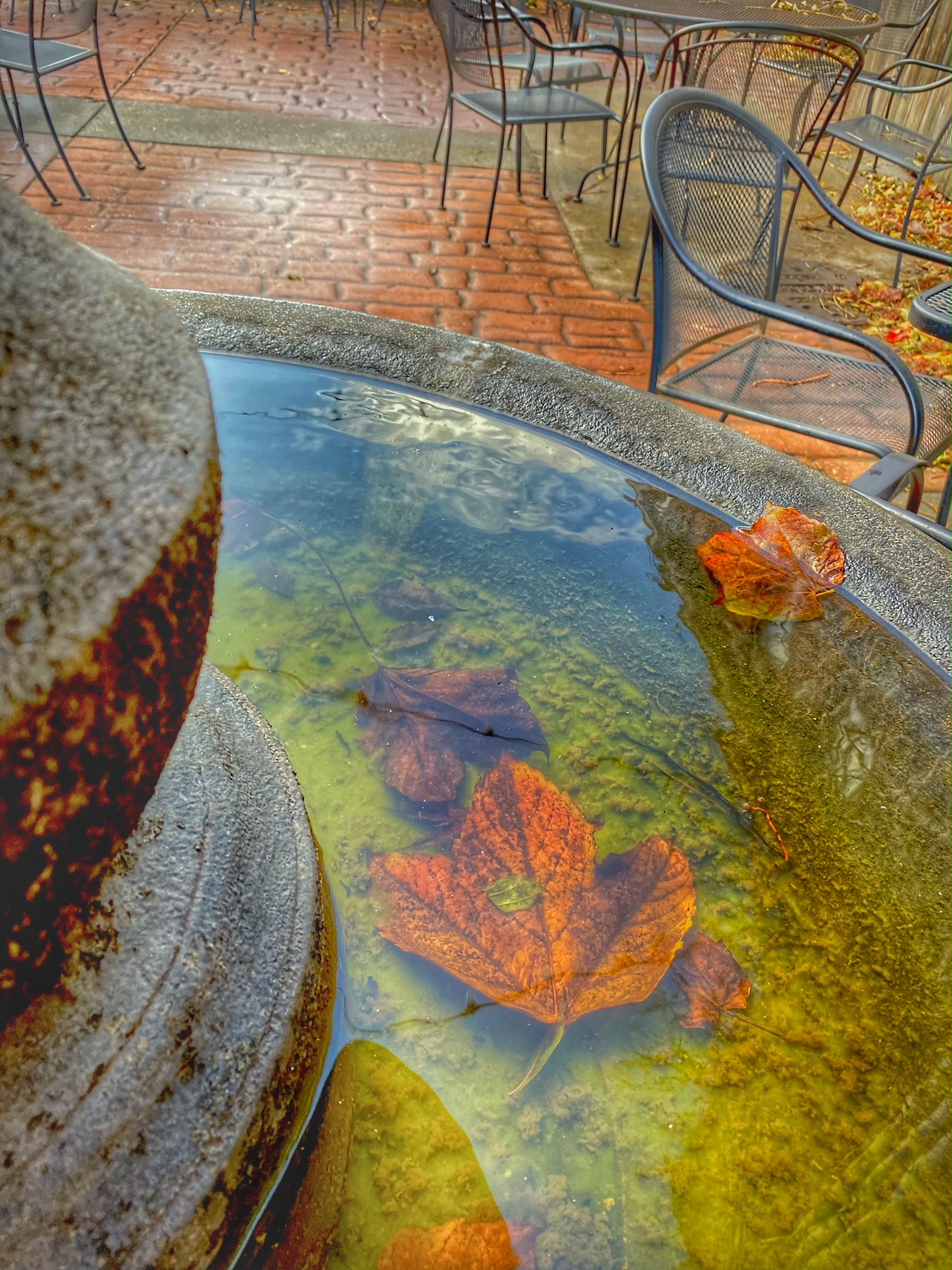 Autumn Reflections
Photography
8" X 12"
$95.