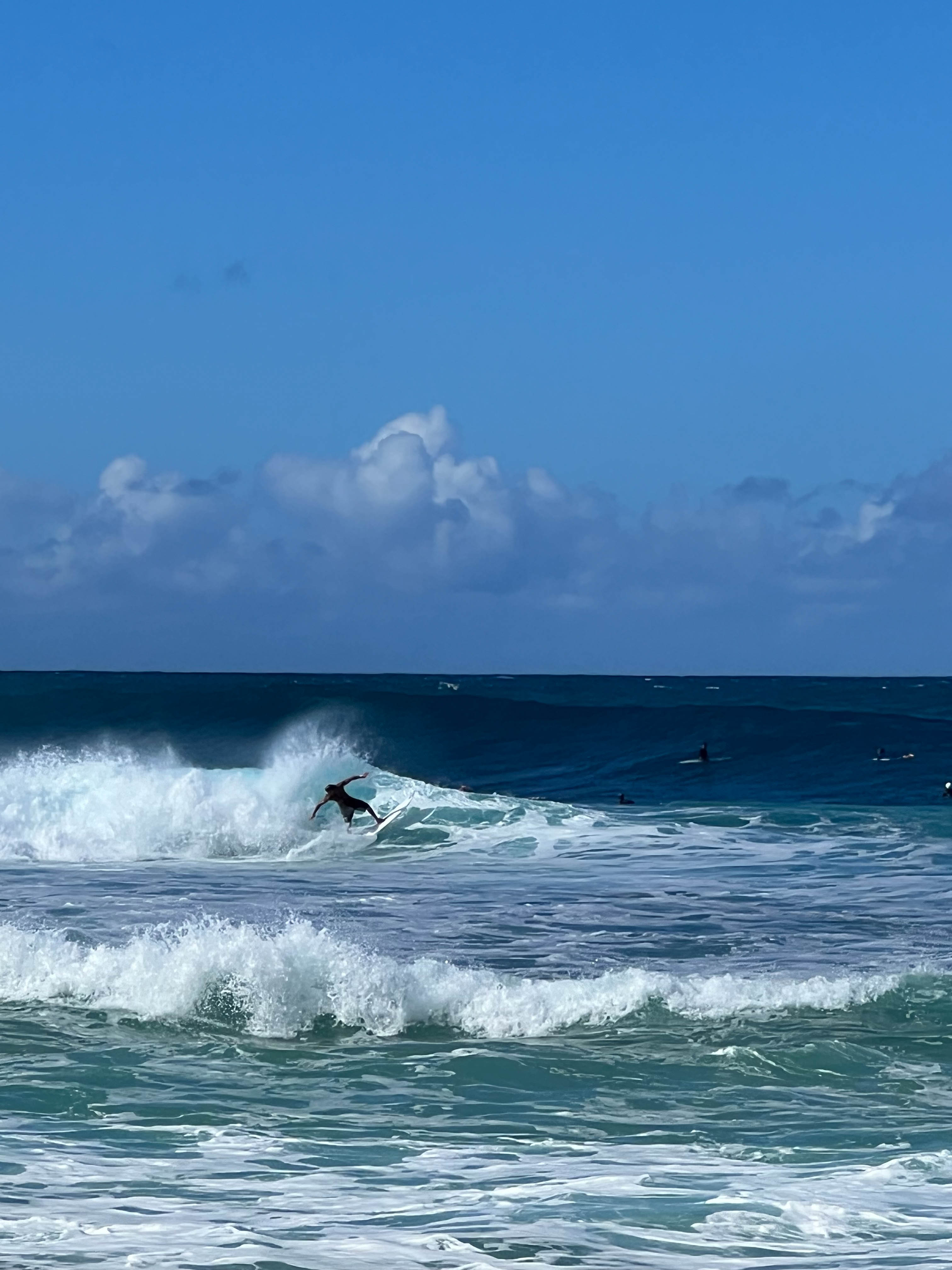 https://0201.nccdn.net/1_2/000/000/0b0/306/hawaii-order-48.jpg