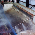 Logs Heading to Chipper