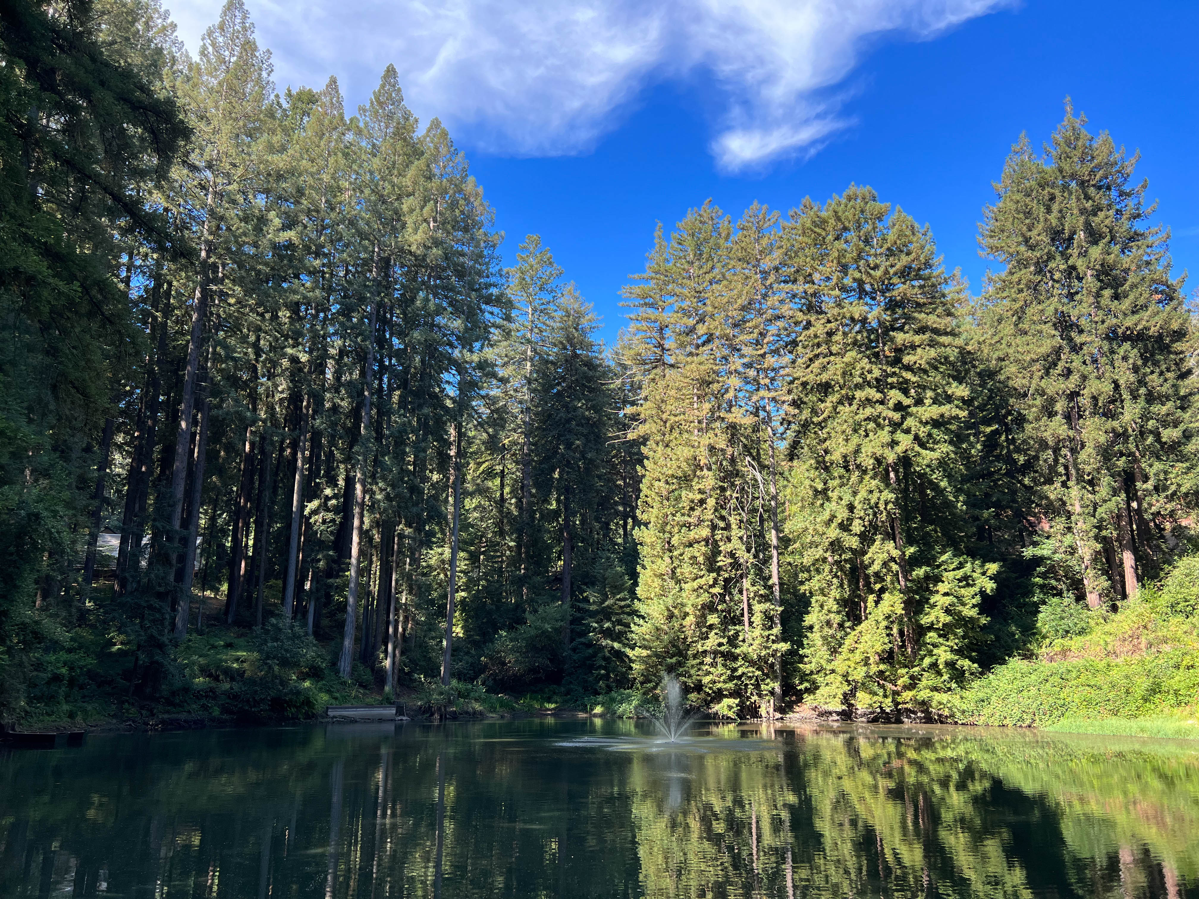 https://0201.nccdn.net/1_2/000/000/0b0/630/san-jose-order-8.jpg