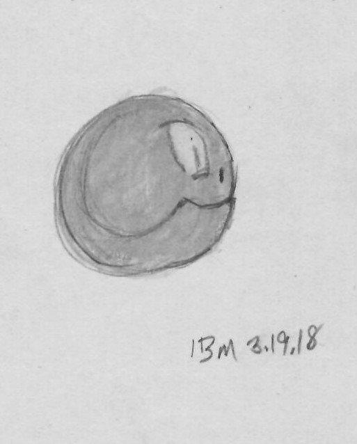 ibm--3-19-A-2018