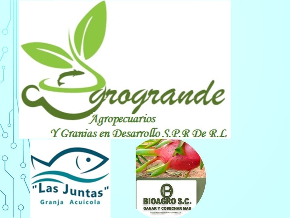 Ir a la página de inicio del sitio AGROGRANDE