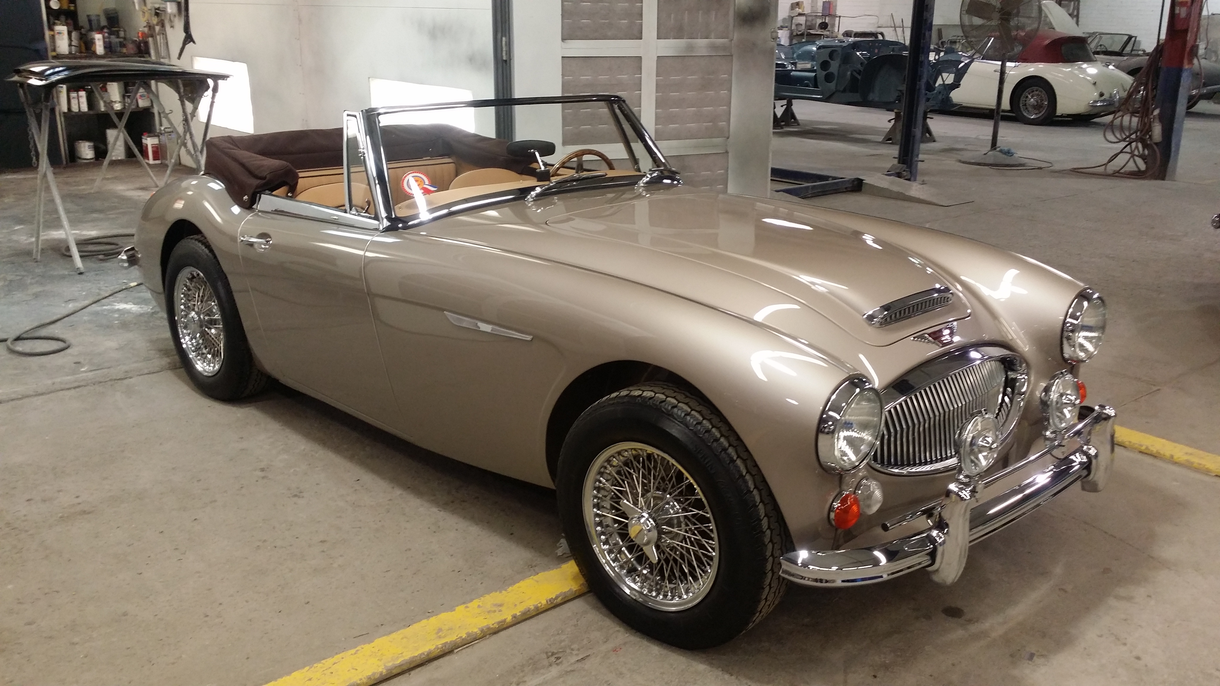 67 Austin Healey