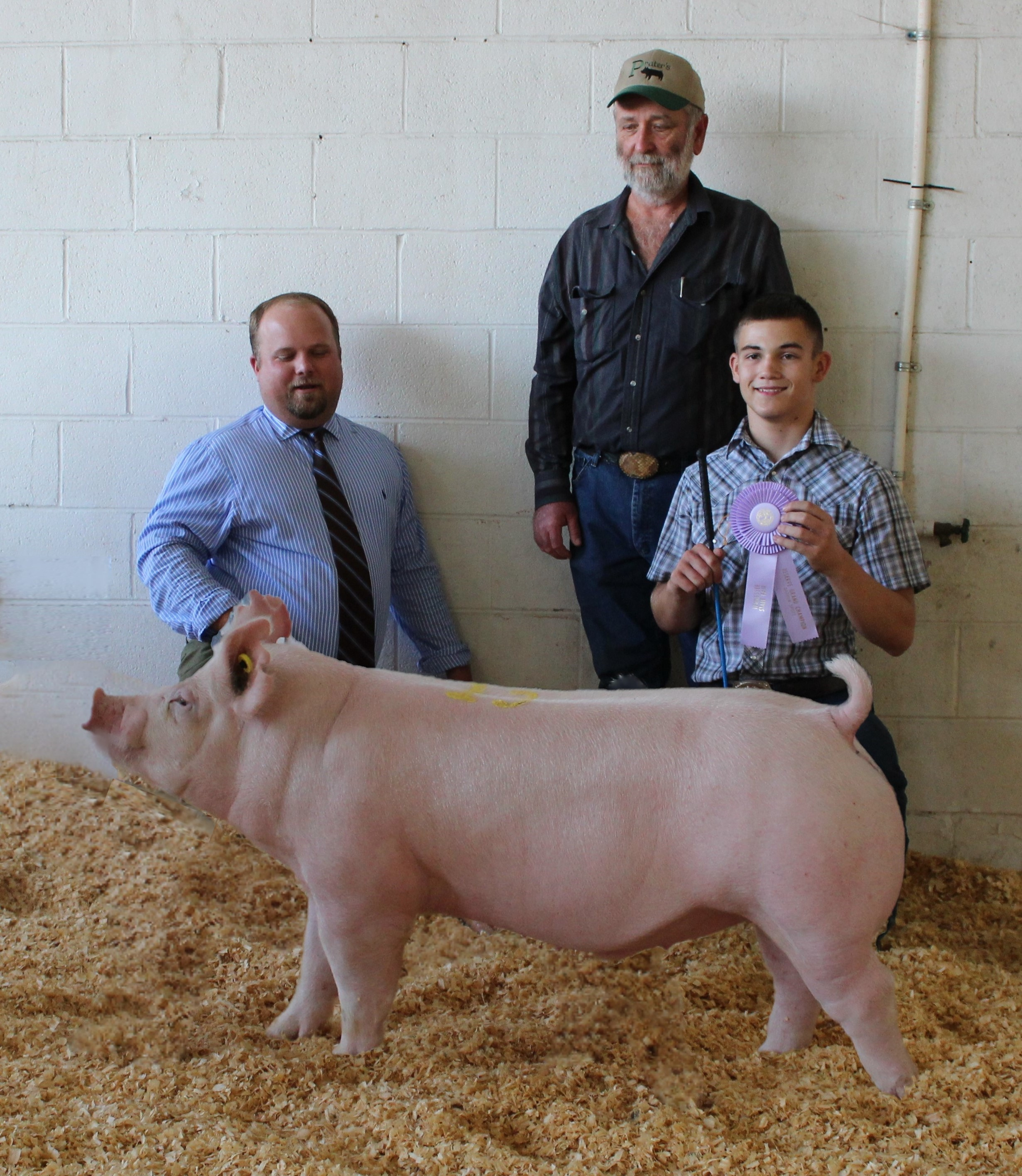 Kalan Lusk
2019 Tennessee State Fair
Reserve Champion Yorkshire Barrow
