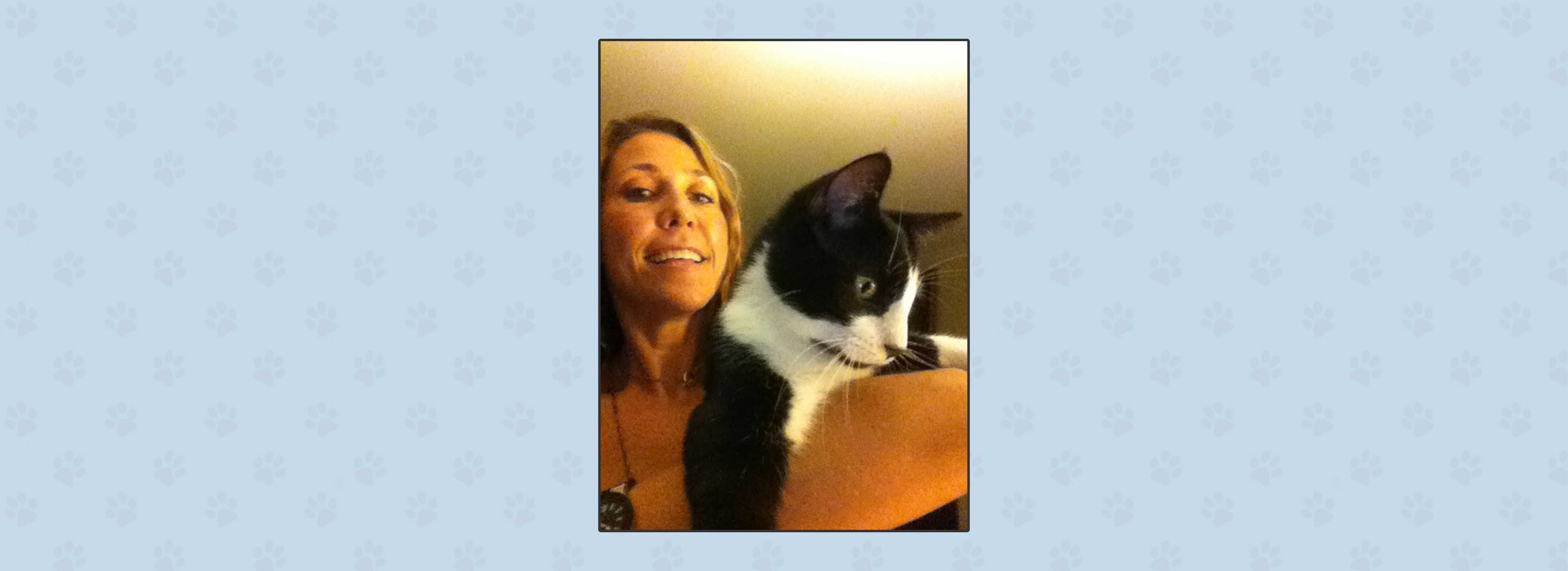 Pet Care Pet Sitting Inner Loop Of Houston Tx Spot On