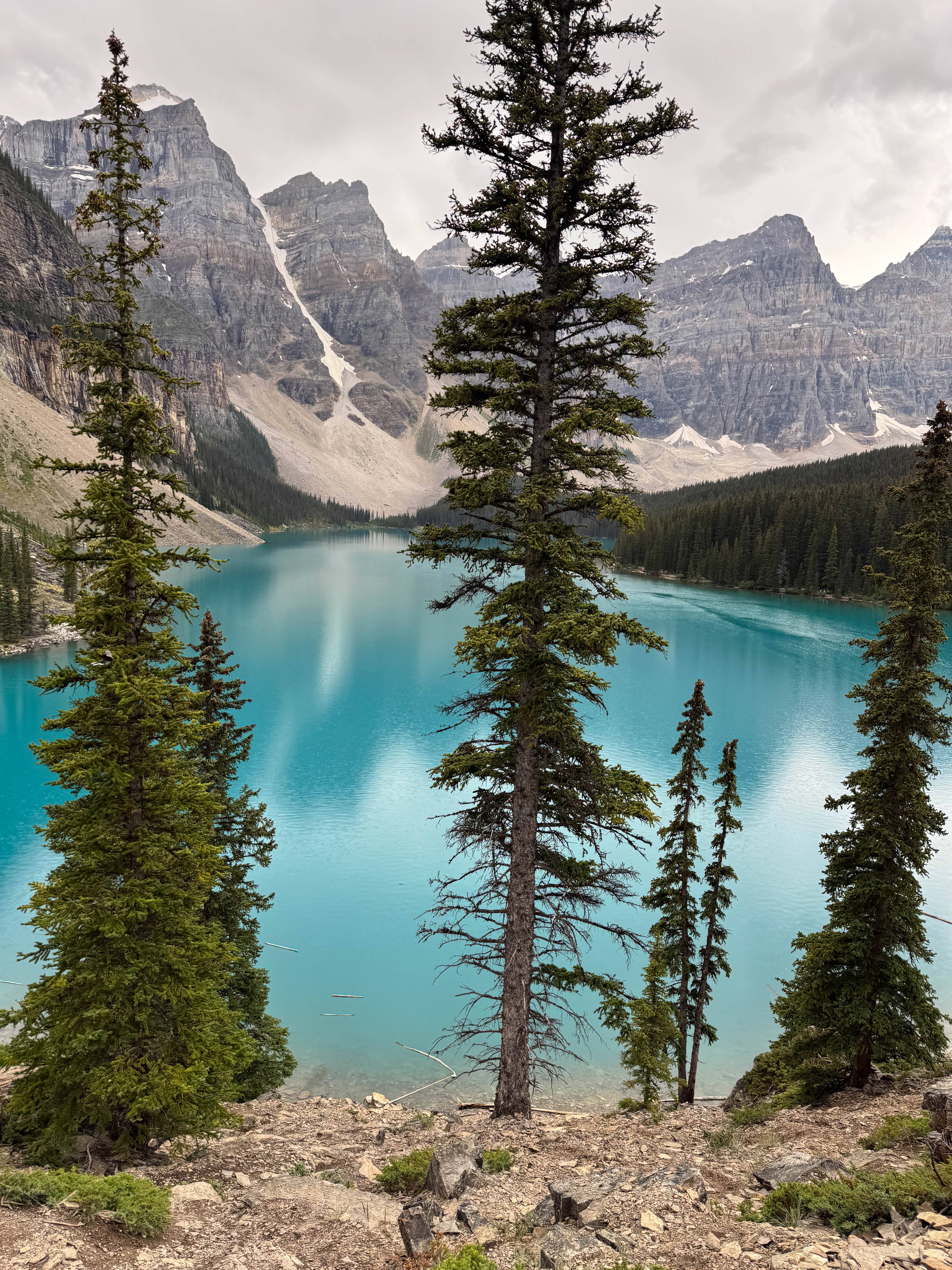 https://0201.nccdn.net/1_2/000/000/0b1/0a2/calgary-order-98.jpg