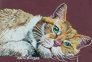 At Ease, Pastel on Paper, Framed   SOLD