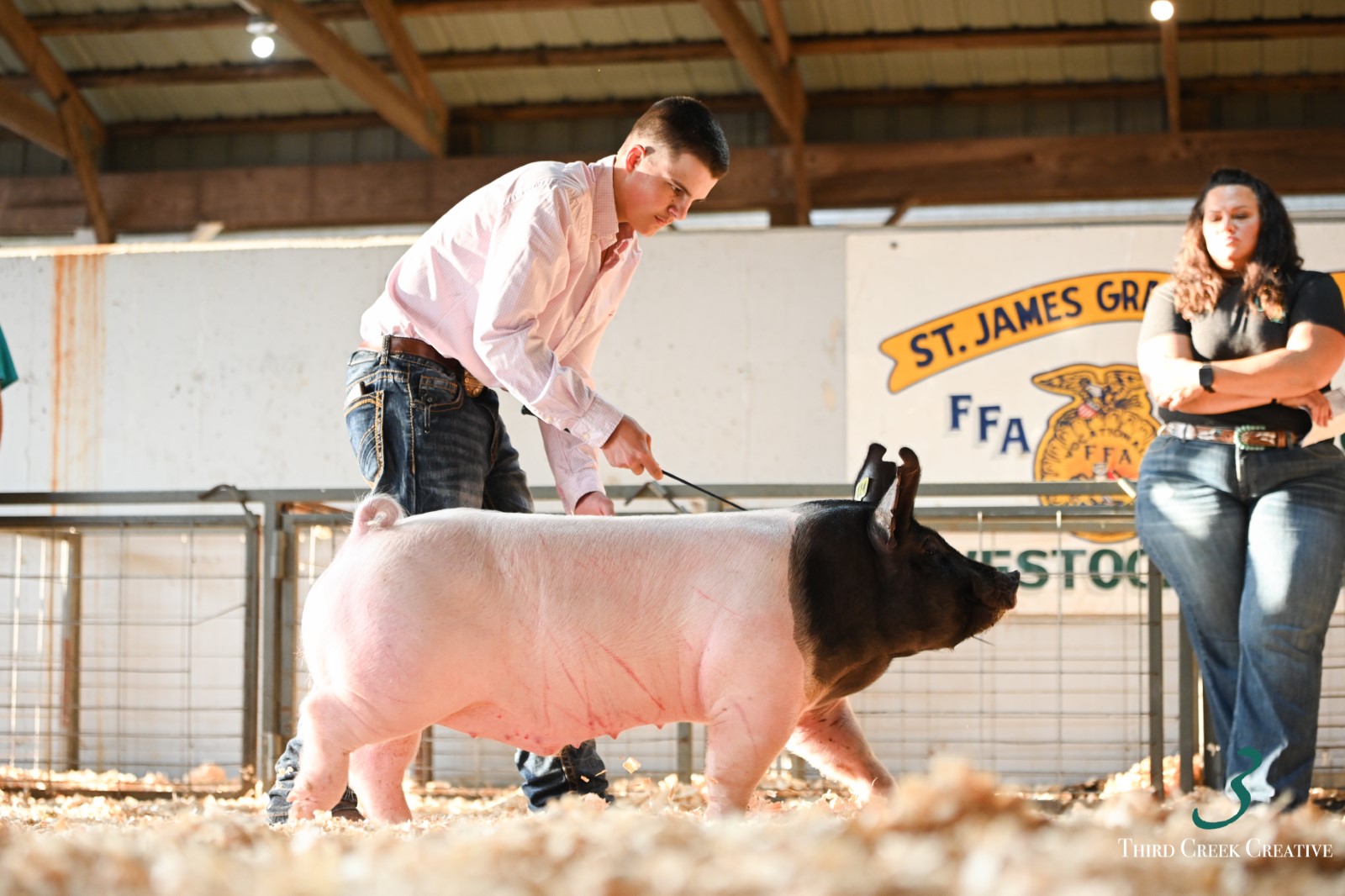 Lucas Nothnagel
2024 Grape Fall Festival St. James, MO
Overall Reserve Champion
 Market Barrow
