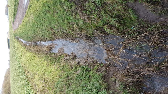 Ditch Cleaning - Cambridegshire