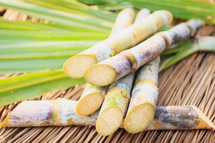 CNPR Ingenio Cuatotolapan - Siembra, cultivo y venta de azúcar de caña