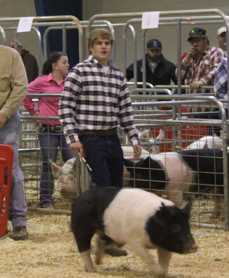 https://0201.nccdn.net/1_2/000/000/0b2/1d2/2016-TN-State-Market-Hog-Show-boy.jpg