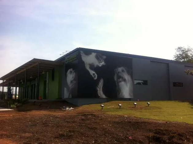 HUMANE SOCIETY
Pressure Sensitive Vinyl Murals