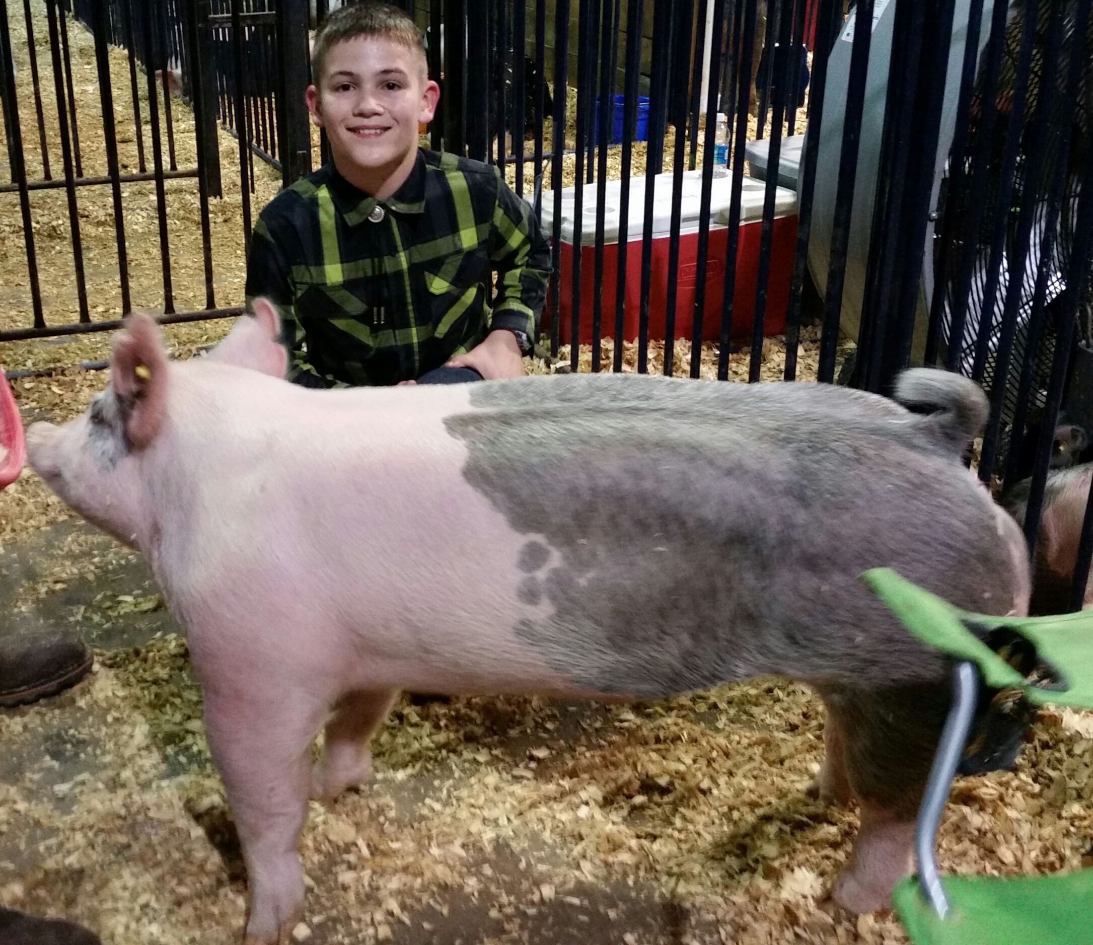 Kalan Lusk
2017 TN State Market Hog Show
1st in Class